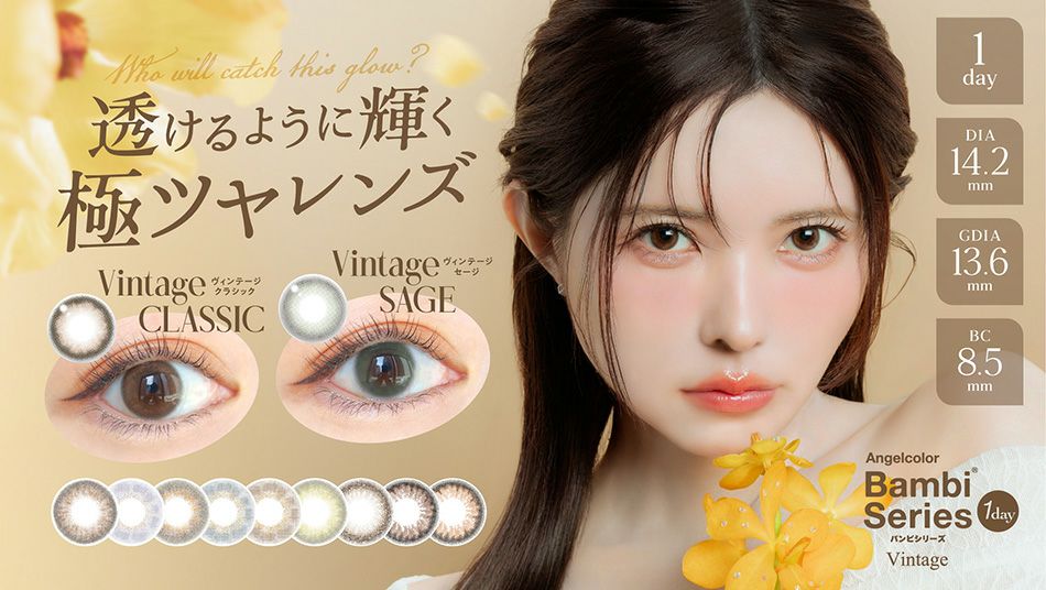 エンジェルカラー バンビシリーズ ヴィンテージワンデー 益若つばさカラコンバナー画像