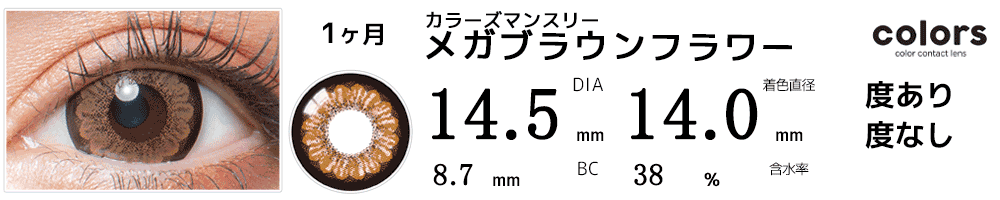 colors(カラーズ)　メガブラウンフラワー