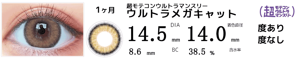 超モテコンウルトラマンスリーMOTECON ULTRA MONTHLYウルトラメガキャット