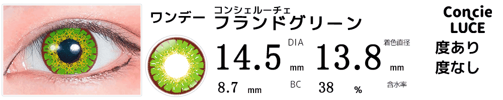 コンシェルーチェConcieLUCE フランドグリーン