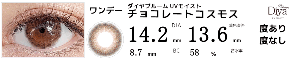 ダイヤDiyaブルームUVモイスト チョコレートコスモス