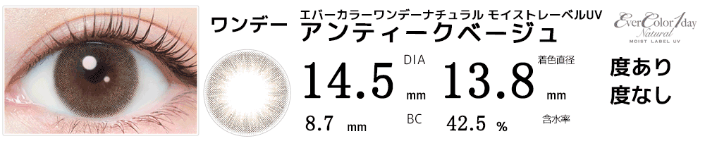 エバーカラーワンデーナチュラル モイストレーベルUV アンティークベージュ