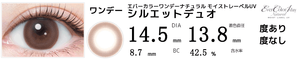 エバーカラーワンデーナチュラル モイストレーベルUV シルエットデュオ