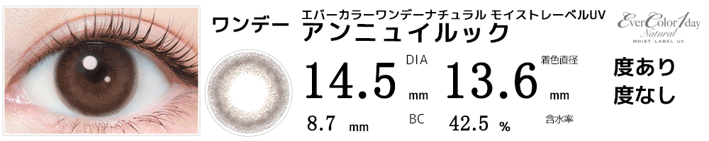 エバーカラーワンデーナチュラル モイストレーベルUV アンニュイルック