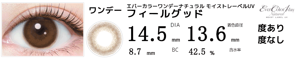 エバーカラーワンデーナチュラル モイストレーベルUV フィールグッド