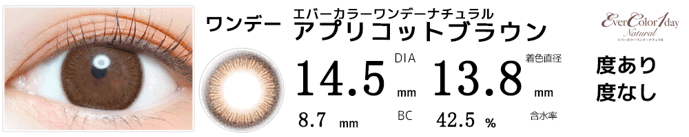エバーカラーワンデーナチュラルアプリコットブラウン