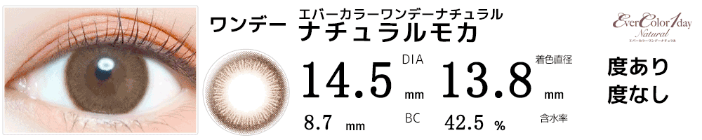 エバーカラーワンデーナチュラルナチュラルモカ