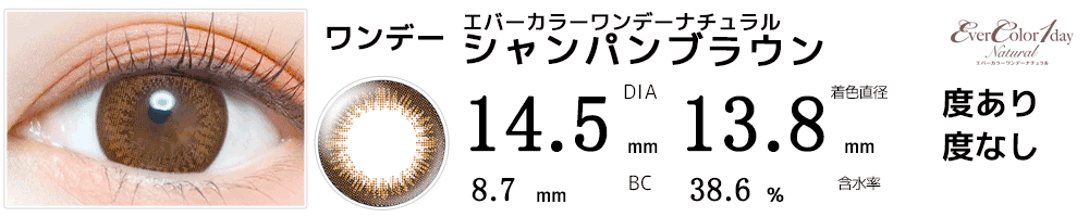 エバーカラーワンデーナチュラルシャンパンブラウン
