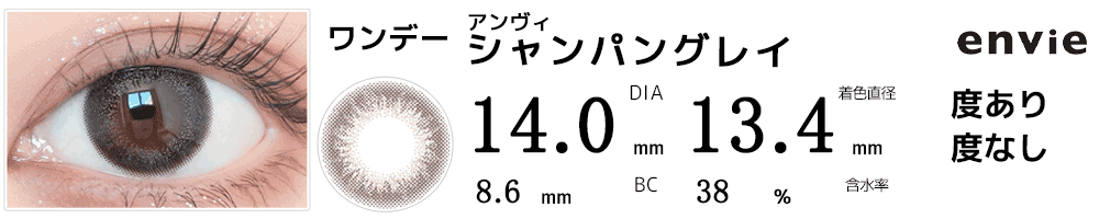 アンヴィenvie シャンパングレイ