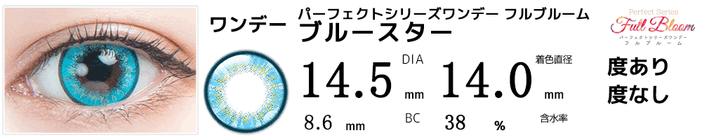 パーフェクトワンデーフルブルーム ブルースター