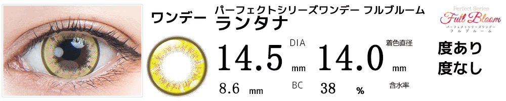 パーフェクトワンデーフルブルーム ランタナ