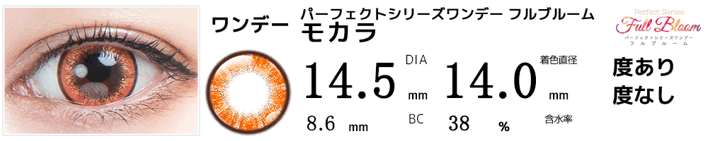 パーフェクトワンデーフルブルーム モカラ