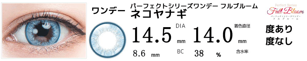 パーフェクトワンデーフルブルーム ネコヤナギ