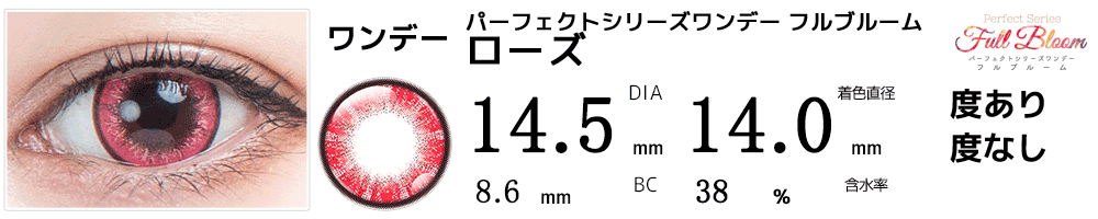 パーフェクトワンデーフルブルーム ローズ