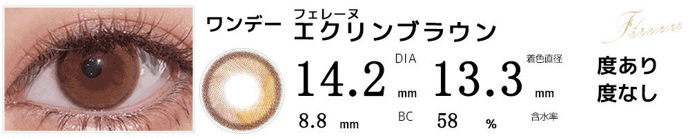 フェレーヌFerenne エクリンブラウン