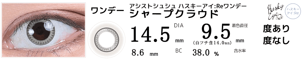 アシストシュシュ ハスキーアイ：Reワンデー 三白眼風カラコン シャープクラウド
