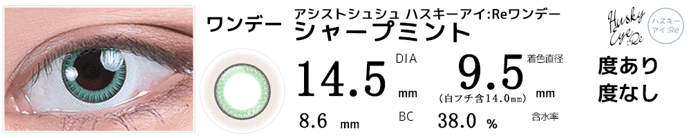 アシストシュシュ ハスキーアイ：Reワンデー 三白眼風カラコン シャープミント
