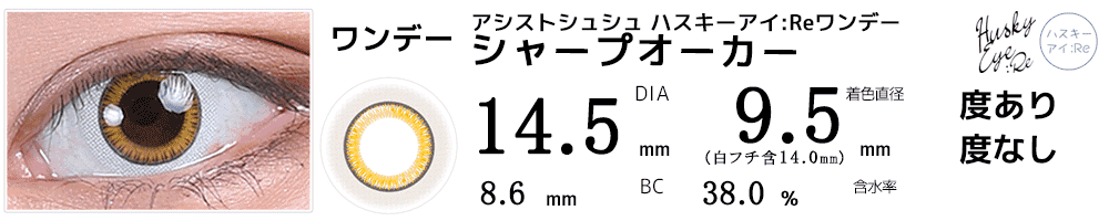 アシストシュシュ ハスキーアイ：Reワンデー 三白眼風カラコン シャープオーカー