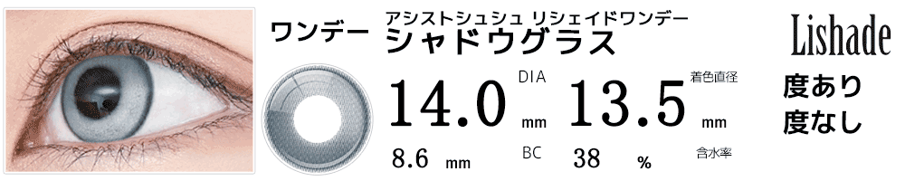 アシストシュシュ リシェイドワンデー シャドウグラス
