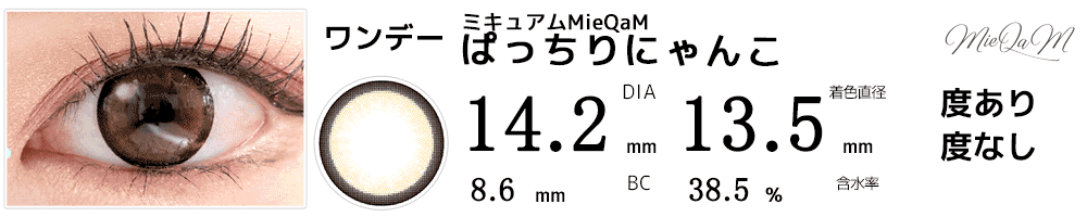 ミキュアムMieQaM ぱっちりにゃんこ 黒フチブラウン