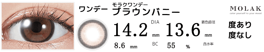 モラクワンデー MOLAK 1day ブラウンバニー