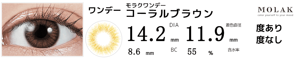 モラクワンデー MOLAK 1day コーラルブラウン