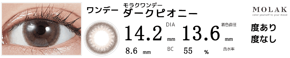 モラクワンデー MOLAK 1day ダークピオニー