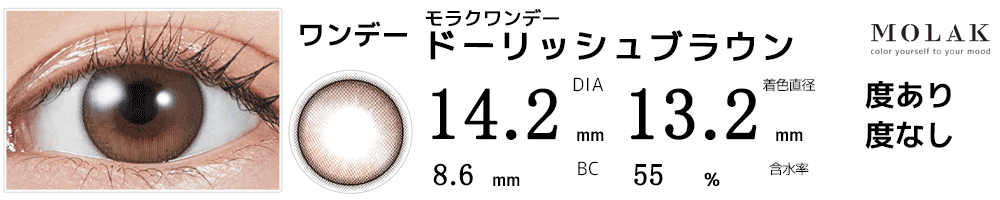 モラクワンデー MOLAK 1day ドーリッシュブラウン