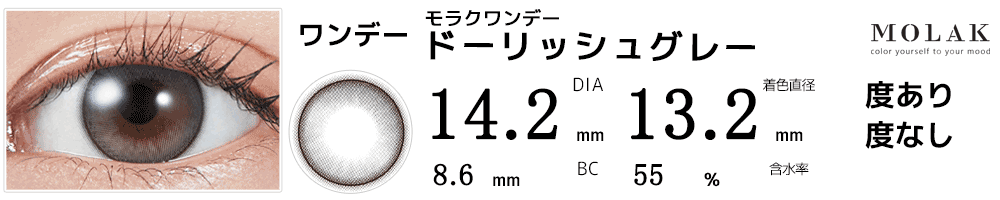 モラクワンデー MOLAK 1day ドーリッシュグレー
