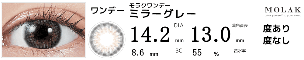 モラクワンデー MOLAK 1day ミラーグレー