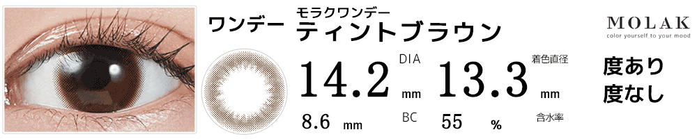 モラクワンデー MOLAK 1day ティントブラウン