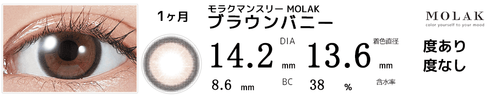 モラクマンスリー MOLAK 1month ブラウンバニー
