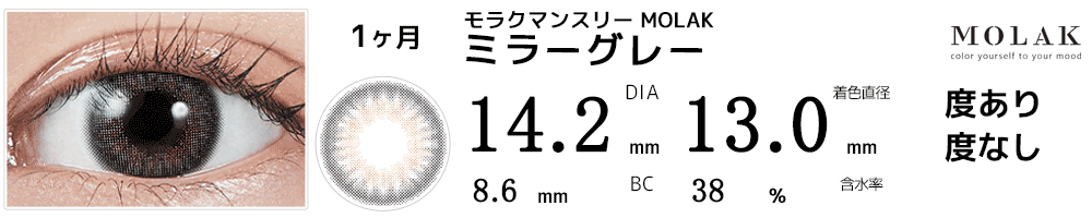 モラクマンスリー MOLAK 1month ミラーグレー