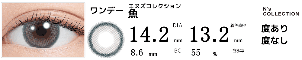 エヌズコレクションN's Collection 魚