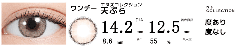 エヌズコレクションN's Collection 天ぷら