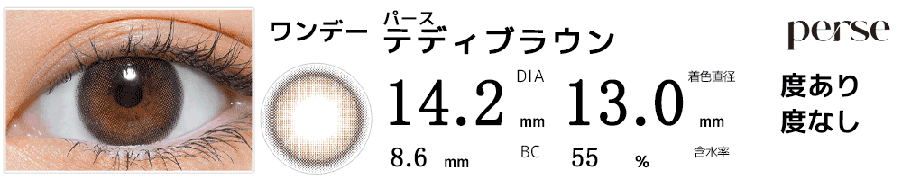 パースperse テディブラウン
