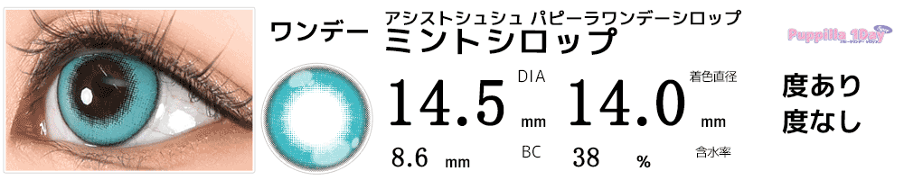 アシストシュシュ パピーラワンデーシロップ ミントシロップ