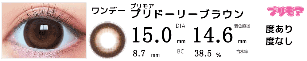 プリモアPRIMORE プリドーリーブラウン