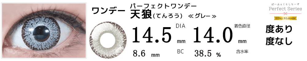 ドルチェパーフェクトワンデー天狼グレー