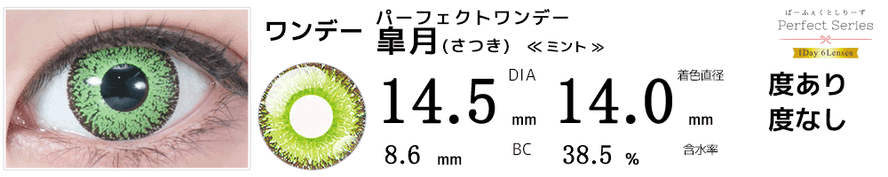 ドルチェパーフェクトワンデー皐月ミント