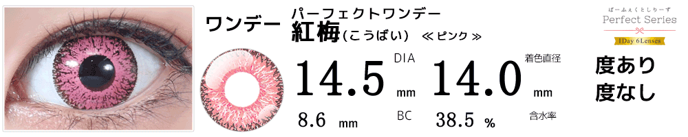 ドルチェパーフェクトワンデー紅梅ピンク