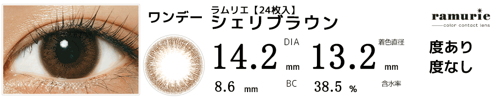 ラムリエramurie【24枚入】 シェリブラウン