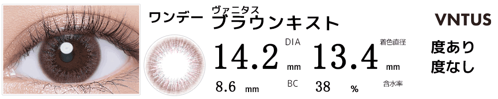 ヴァニタスVNTUS ブラウンキスト