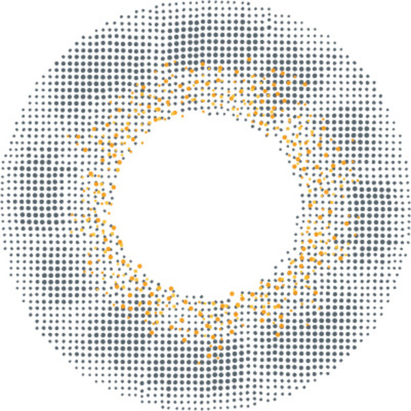 エンジェルカラー バンビシリーズ ヴィンテージワンデー　ヴィンテージグレー