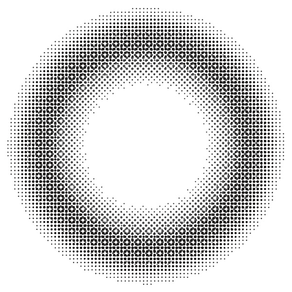 チューズミー ワンデー ノエルハグ