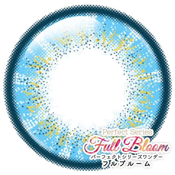 パーフェクトワンデーフルブルーム ブルースター