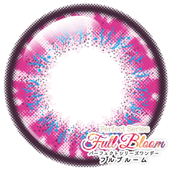 パーフェクトワンデーフルブルーム アイリス