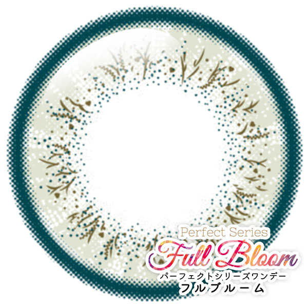 パーフェクトワンデーフルブルーム リリー