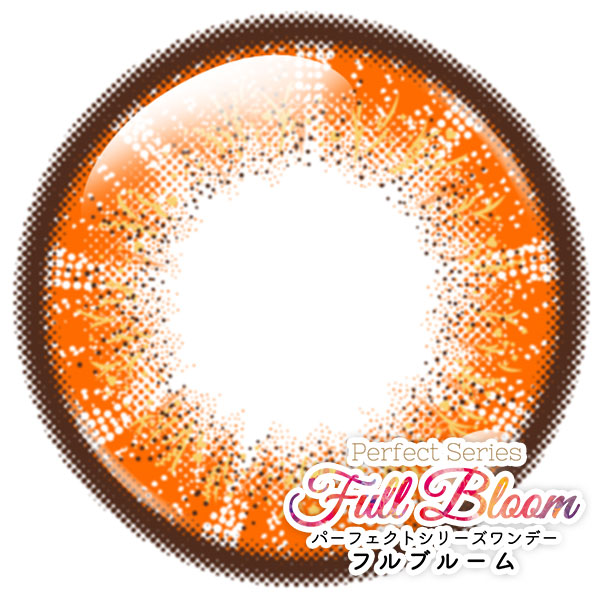 パーフェクトワンデーフルブルーム モカラ