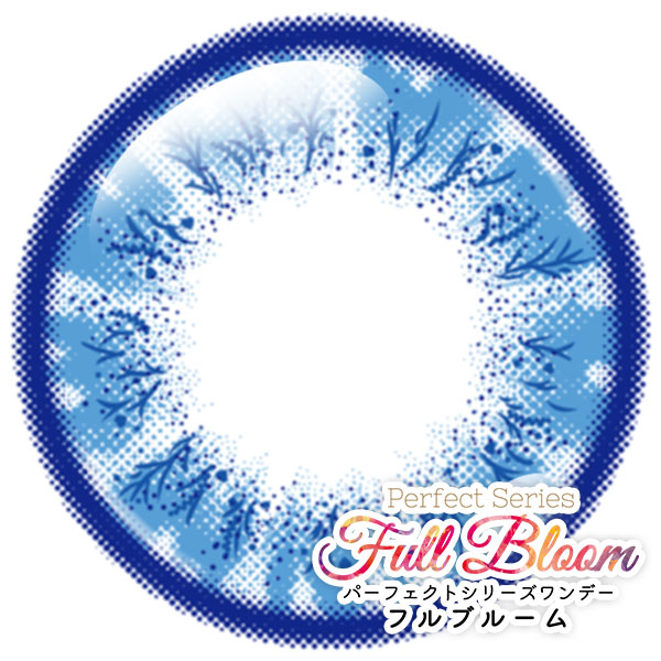 パーフェクトワンデーフルブルーム ネモフィラ